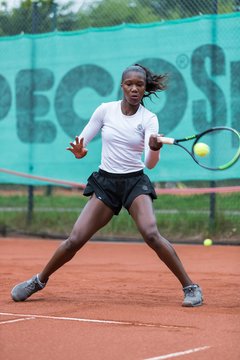 Noma Noha Akugue 238 - Klippeldon